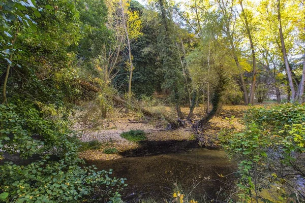 Parco Senda Vega Segovia Spagna — Foto Stock