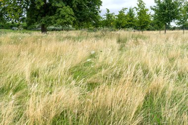  Kensington Sarayı bahçelerine 