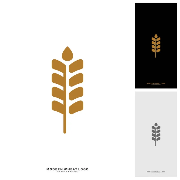 Blé de luxe Étiquettes céréales et pain. Blé naturel. Modèle de logo de blé agricole vecteur — Image vectorielle