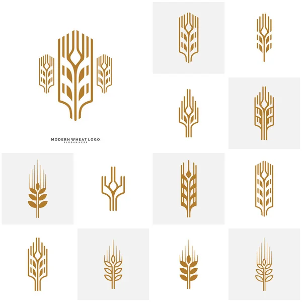 Conjunto de etiquetas de grano y pan de lujo de trigo. Trigo natural. Agricultura trigo Logo Plantilla Vector — Vector de stock