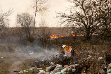 Yol boyunca atılan çöplerin yol açtığı çevre kirliliği
