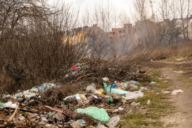 Yol boyunca atılan çöplerin yol açtığı çevre kirliliği