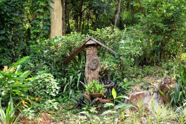 Rizal, Ph - 30 Kasım: 30 Kasım 2019 tarihinde Antipolo, Rizal, Filipinler 'de Meryem' in Temiz Kalbi bahçe düzenleme cemaati.