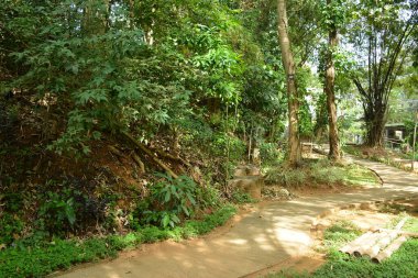 Filipinler 'in Antipolo şehrinde bahçe düzenleme tasarımı