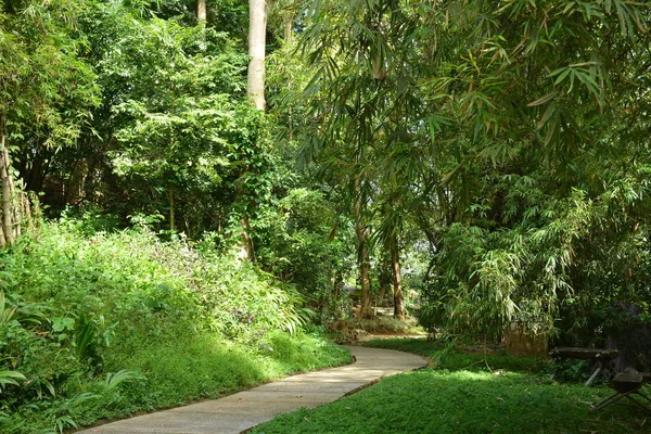 Garden Landscaping Design Path Way Antipolo City Philippines — Stok Foto