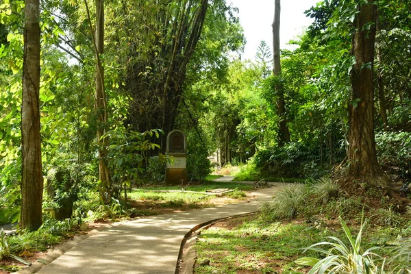 Rizal Nov Parish Immaculate Heart Mary Garden Landscaping November 2019 — Stock Photo, Image