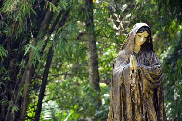 Rizal Nov Virgin Mary Statue Parish Immaculate Heart Mary November — Stock Photo, Image