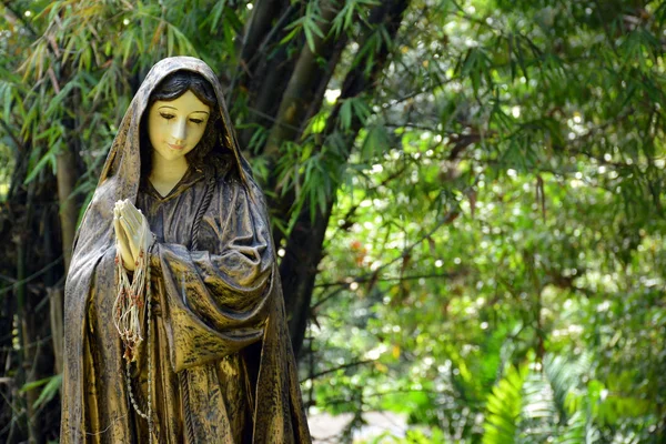 Rizal November Statue Der Jungfrau Maria Der Pfarrei Vom Unbefleckten — Stockfoto