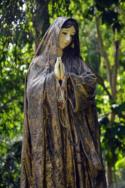 Rizal Nov Virgin Mary Statue Parish Immaculate Heart Mary November — Stock Photo, Image