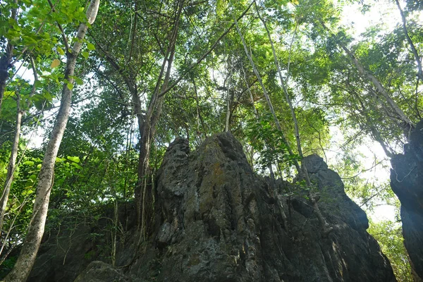 Calinawan Grotta Klippformation Turistattraktion Tanay Rizal Filippinerna — Stockfoto