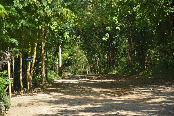 Calinawan Straße Mit Umliegenden Bäumen Unterwegs Tanay Rizal — Stockfoto