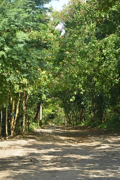 Calinawan Jalan Dengan Pohon Pohon Sekitarnya Sepanjang Jalan Tanay Rizal — Stok Foto