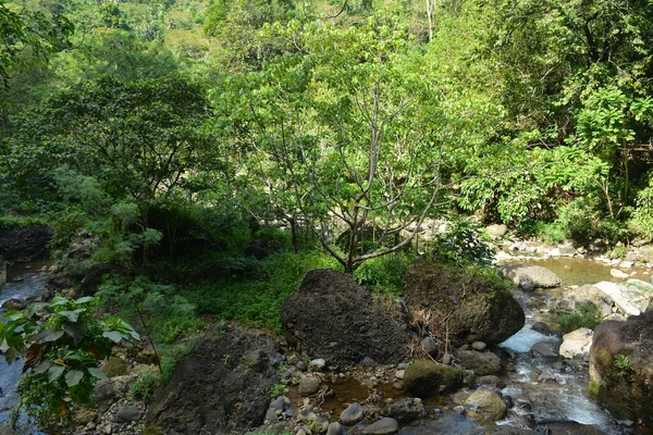 주변에 바위들 흐르는 필리핀 리잘의 — 스톡 사진