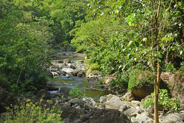 Потік Річки Даранак Навколишніми Породами Танаї Різал Філіппіни — стокове фото