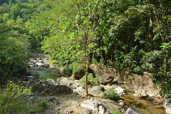 Arus Sungai Daranak Dengan Bebatuan Sekitarnya Tanay Rizal Filipina — Stok Foto