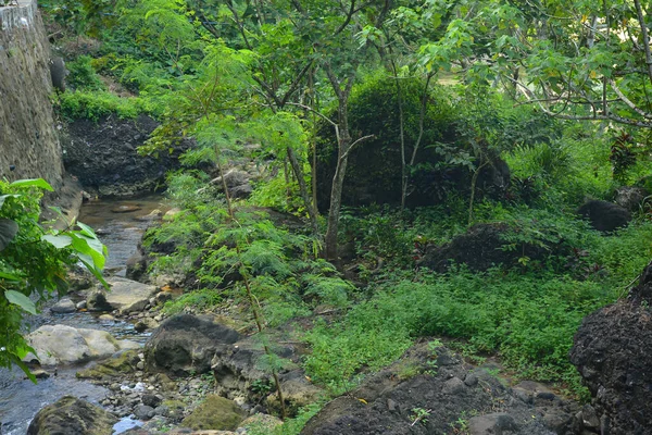 Rzeka Daranak Otaczającymi Skałami Tanay Rizal Filipiny — Zdjęcie stockowe
