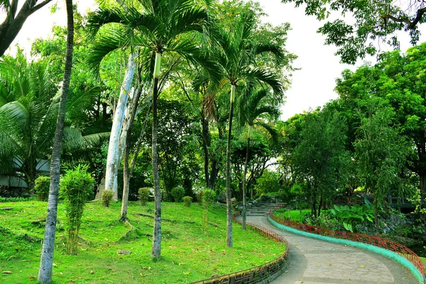 Manila Dec Chemin Jardin Chinois Intérieur Parc Rizal Décembre 2016 — Photo