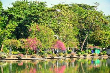 BANGKOK, TH - DEC 13: Outdoor park water pond at Dusit Zoo on December 13, 2016 in Khao Din Park, Bangkok, Thailand. Dusit Zoo is the oldest zoo in Bangkok, Thailand.