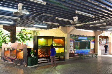 BANGKOK, TH - DEC 13: Display animal showcase at Dusit Zoo on December 13, 2016 in Khao Din Park, Bangkok, Thailand. Dusit Zoo is the oldest zoo in Bangkok, Thailand.