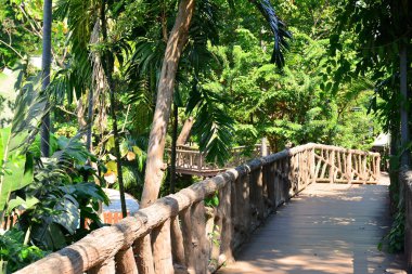 BANGKOK, TH - DEC 13: Path way at Dusit Zoo on December 13, 2016 in Khao Din Park, Bangkok, Thailand. Dusit Zoo is the oldest zoo in Bangkok, Thailand.