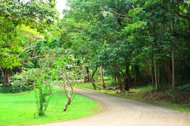 Corregidor Adası, Cavite, Filipinler 'deki doğa manzaralı yol