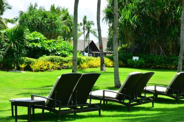 Cebu, Ph-Ekim 8: Shangri-La 'nın Mactan Resort ve Spa plaj sandalyeleri 8 Ekim 2016' da Lapu Lapu, Cebu, Filipinler 'de. Sahildeki lüks tatil beldesi Mactan-Cebu Int 'l Havalimanı' na 8 km uzaklıkta..