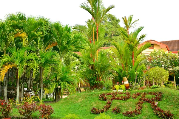 Negros Oriental Augusti Privat Residence Vip Resort Utomhus Trädgård Landskap — Stockfoto