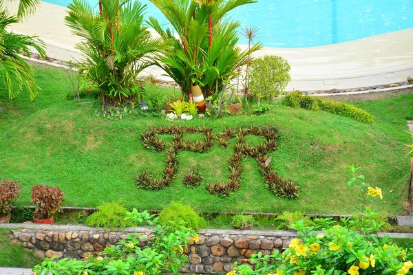 Negros Oriental Sie Private Residence Vip Resort Outdoor Garden Landscape — Zdjęcie stockowe