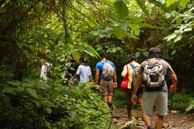 ZAMBALES, PH-OCT 5: 5 Ekim 2015 tarihinde Filipinler 'in Zambales kentinde Pinatubo Gölü' ne giden orman yolu. Pinatubo Gölü, Pinatubo Dağı 'nın zirve krater gölüdür. Pinatubo, Haziran 1991 'deki patlamadan sonra kuruldu..