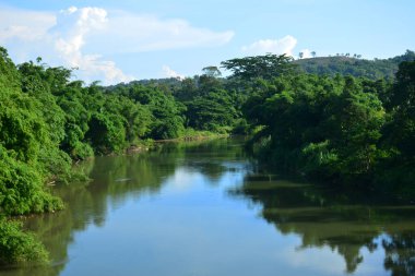 Sabah, Malezya 'da mangrovlu Tamparuli nehri