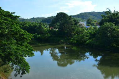 Sabah, Malezya 'da mangrovlu Tamparuli nehri