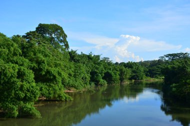 Sabah, Malezya 'da mangrovlu Tamparuli nehri