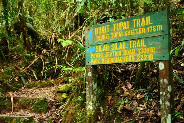 Sabah Juni Mount Kinabalu Botaniska Trädgården Riktningsskyltning Den Juni 2016 — Stockfoto