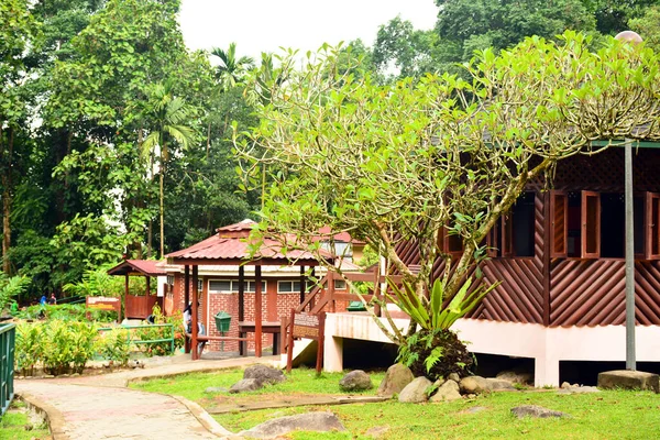 Sabah Haziran 2016 Malezya Nın Sabah Kentinde Poring Hot Spring — Stok fotoğraf