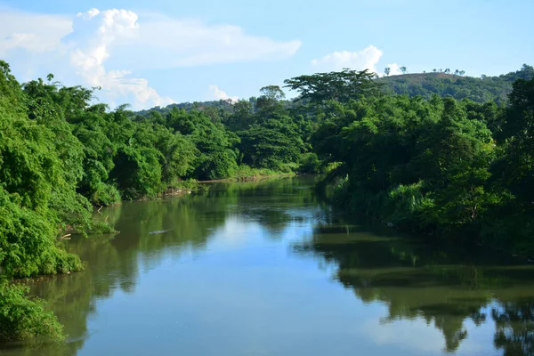 Tamparuli Fluss Mit Mangroven Sabah Malaysia — Stockfoto