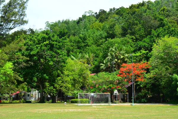 Sabah June Manukan Island Field 2016 말레이시아 휴양지는 공원을 구성하는 — 스톡 사진