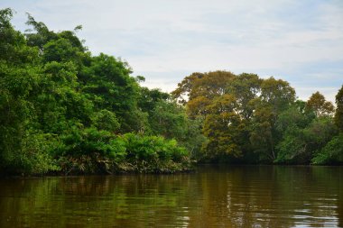 Klias Nehri bir Mangrove Ormanı Rezervi ve ağaçlarda hortumlu maymunları görebileceğiniz bir eko-turizm merkezi..