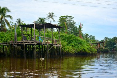 KOTA KINABALU, My - 20 Haziran 2016 'da Malezya' da Klias Nehri. Klias Nehri bir Mangrove Ormanı Rezervi ve ağaçlarda hortumlu maymunları görebileceğiniz bir eko-turizm merkezi..