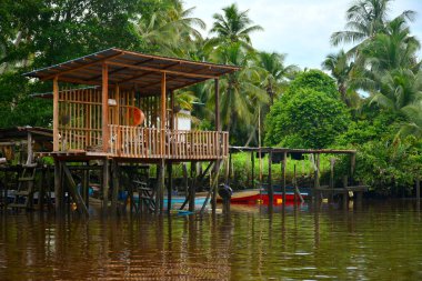 KOTA KINABALU, My - 20 Haziran 2016 'da Malezya' da Klias Nehri. Klias Nehri bir Mangrove Ormanı Rezervi ve ağaçlarda hortumlu maymunları görebileceğiniz bir eko-turizm merkezi..