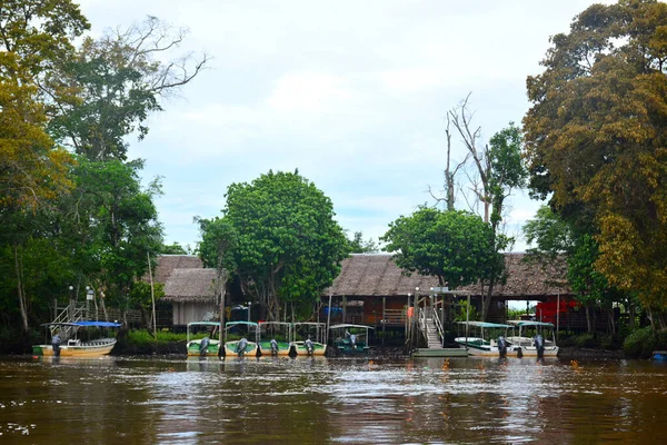 Kota Kinabalu Junio Río Klias Junio 2016 Malasia Río Klias — Foto de Stock