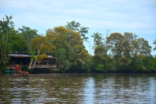 Kota Kinabalu Junio Río Klias Junio 2016 Malasia Río Klias — Foto de Stock