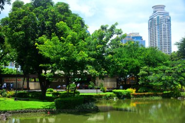 MANILA, PH - 6 Temmuz 2016 'da Rizal Park' taki Japon bahçesi Manila, Filipinler.