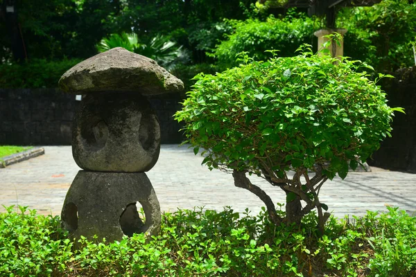 Bonsai Και Πέτρινη Λάμπα Στο Ιαπωνικό Κήπο Μέσα Rizal Πάρκο — Φωτογραφία Αρχείου