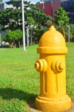 Parktaki Sarı Yangın Yangın Musluğu Rezervi
