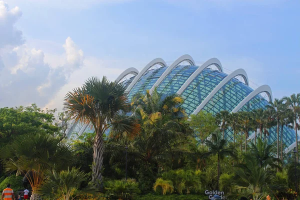 Marina Bay Dicembre Giardini Sulla Facciata Della Cupola Del Fiore — Foto Stock