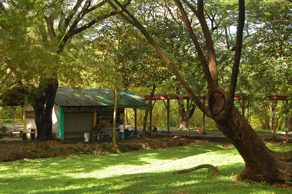 Quezon City Oct Fachada Loja Universidade Das Filipinas Outubro 2015 — Fotografia de Stock