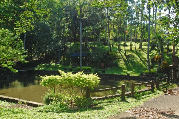 Batangas Juli Visvijver Bij Het Ccf Mount Makiling Recreation Center — Stockfoto