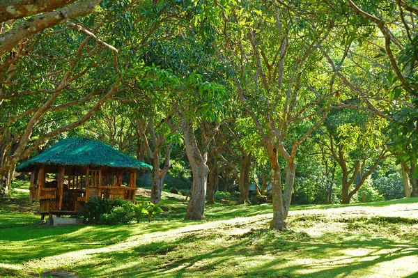 Batangas Juli Hütte Ccf Mount Makiling Recreation Center Juli 2019 — Stockfoto