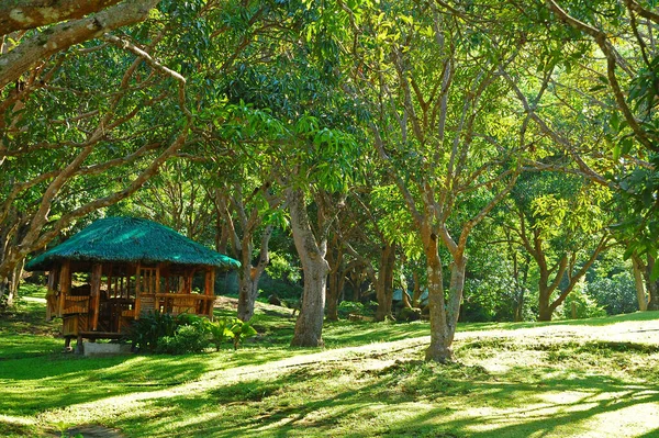 Batangas Lipiec Domek Letniskowy Ccf Mount Makiling Recreation Center Lipca — Zdjęcie stockowe