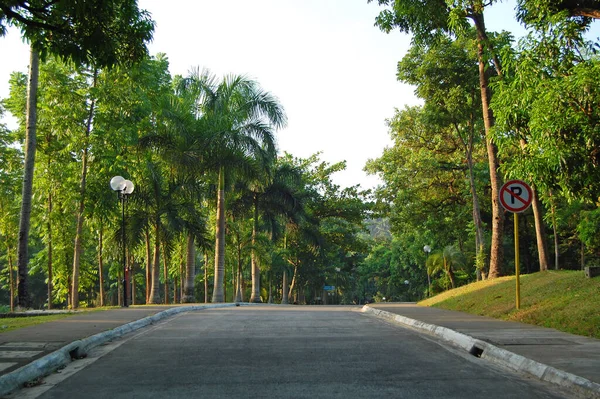 Rizal Oct Meralco Development Center Mmldc Path Trees October 2015 — 图库照片